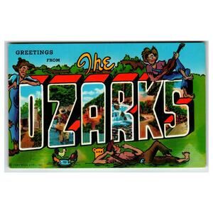 Vintage Greetings from The Ozarks Large Letter Postcard Curteichrom MO AR